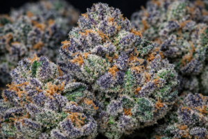 Animal Face Weed Strain