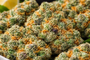 Super Lemon Haze Weed Strain