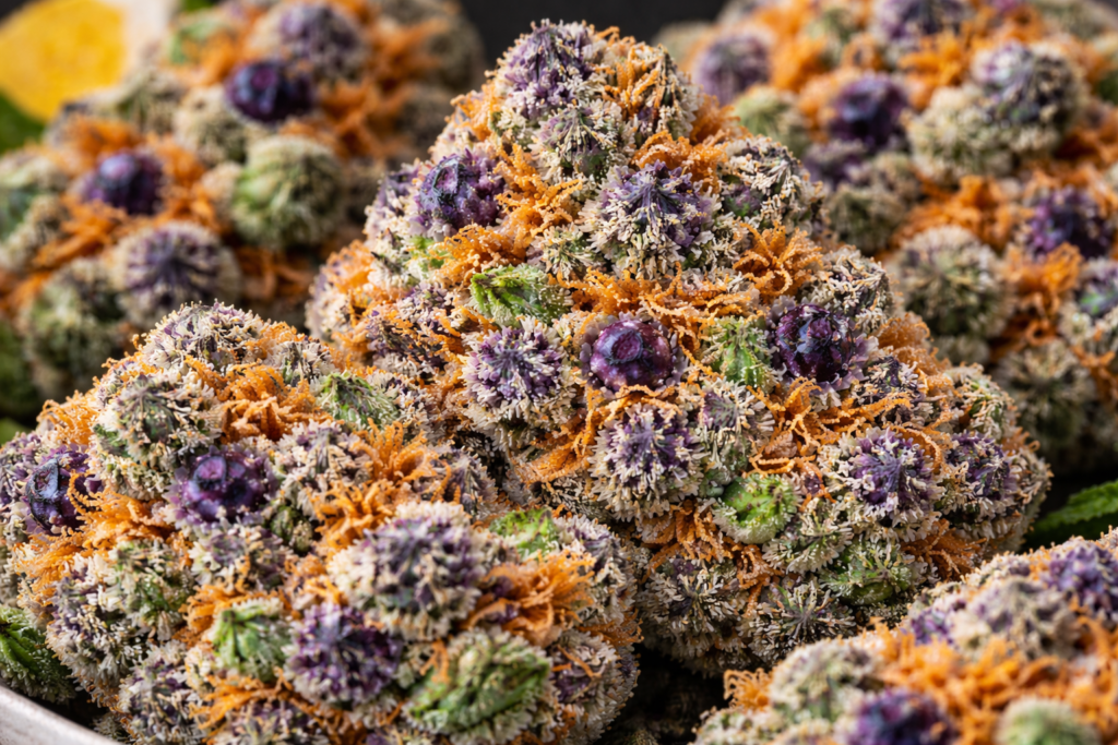 Mimosa Weed Weed Strain